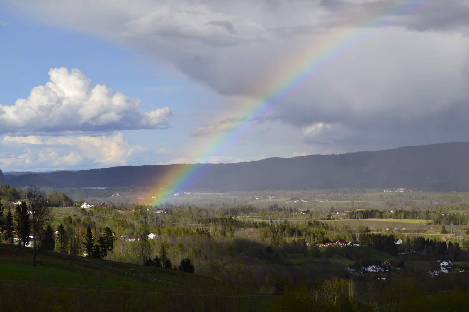 ...ok...nok utsikts-skrytebilder😅 Galleribilde