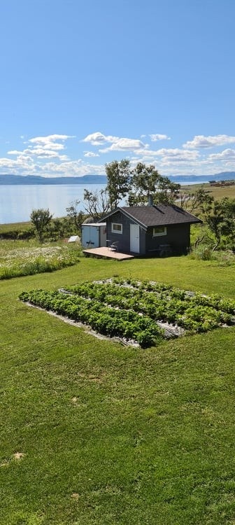 Sauna og jordbæråker Galleribilde