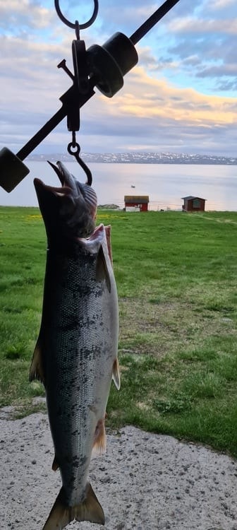 Laksefiske på egen eiendom (sjøgrunn) Galleribilde