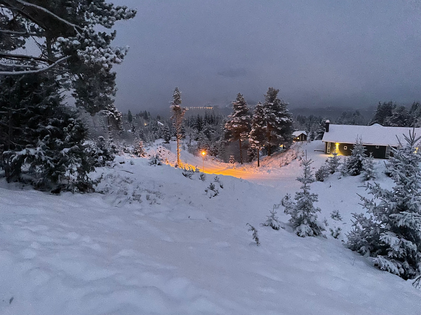 Julestemning Galleribilde