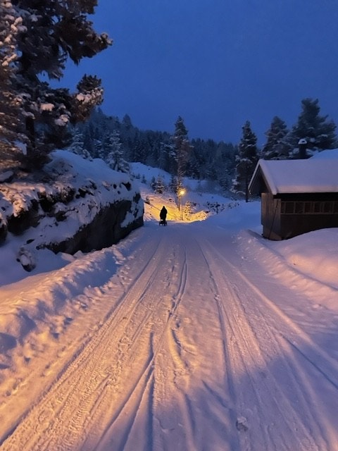 Julestemning Galleribilde