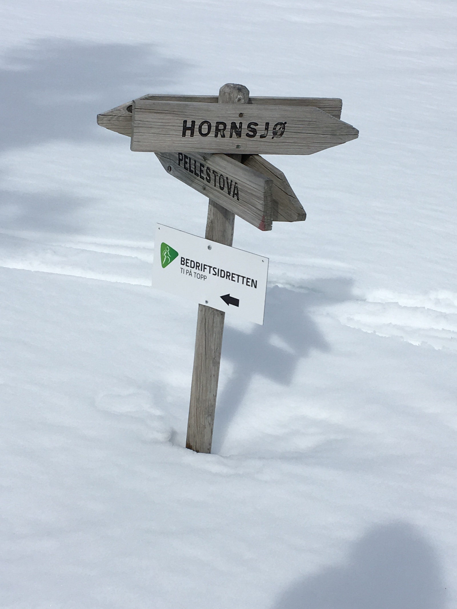 Fine skiløyper som bringer deg til bl.a. Pellestova, Hornsjø eller Sjusjøen Galleribilde