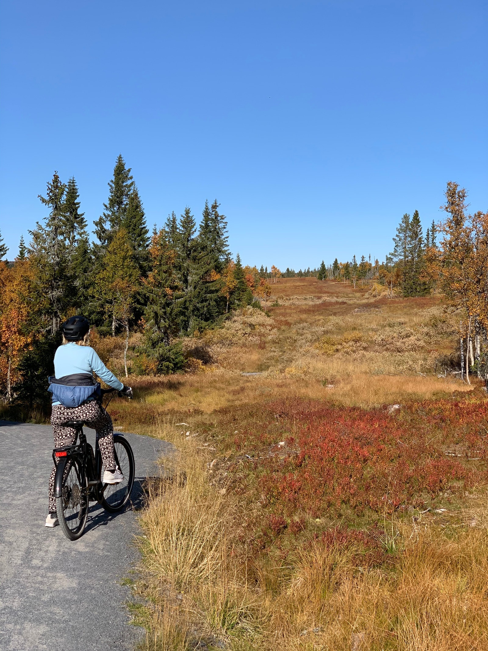 Flotte sykkelmuligheter Galleribilde