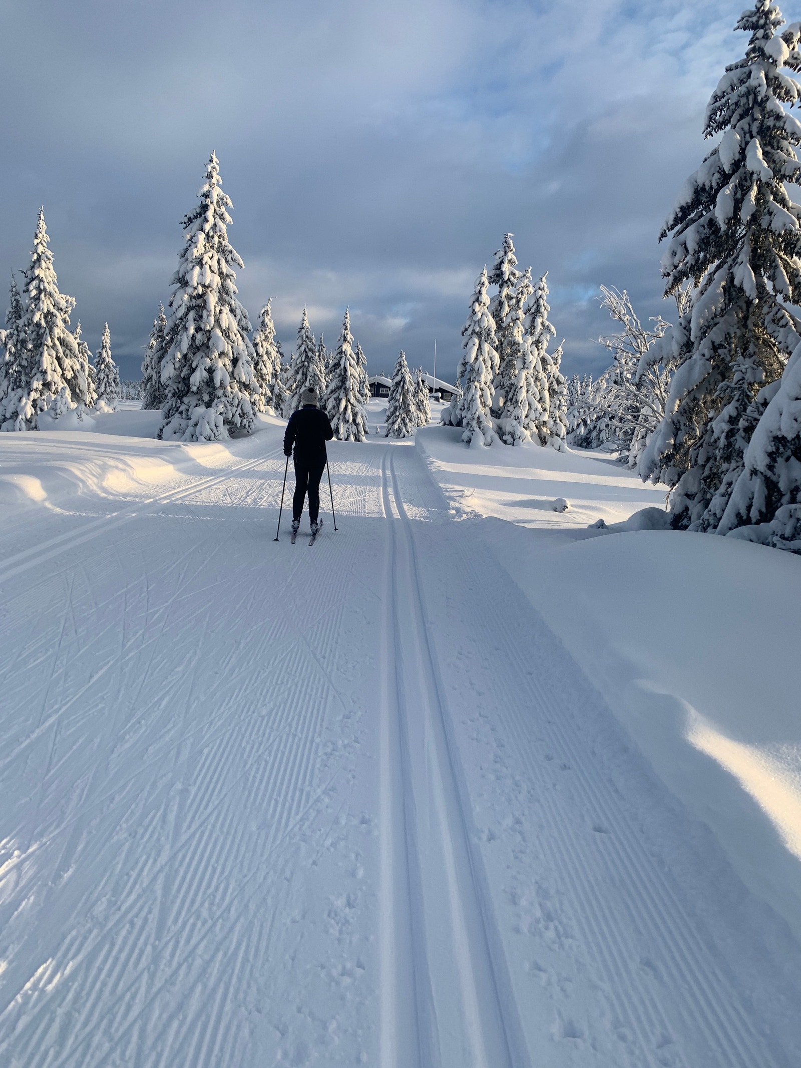 Flotte skiløyper Galleribilde