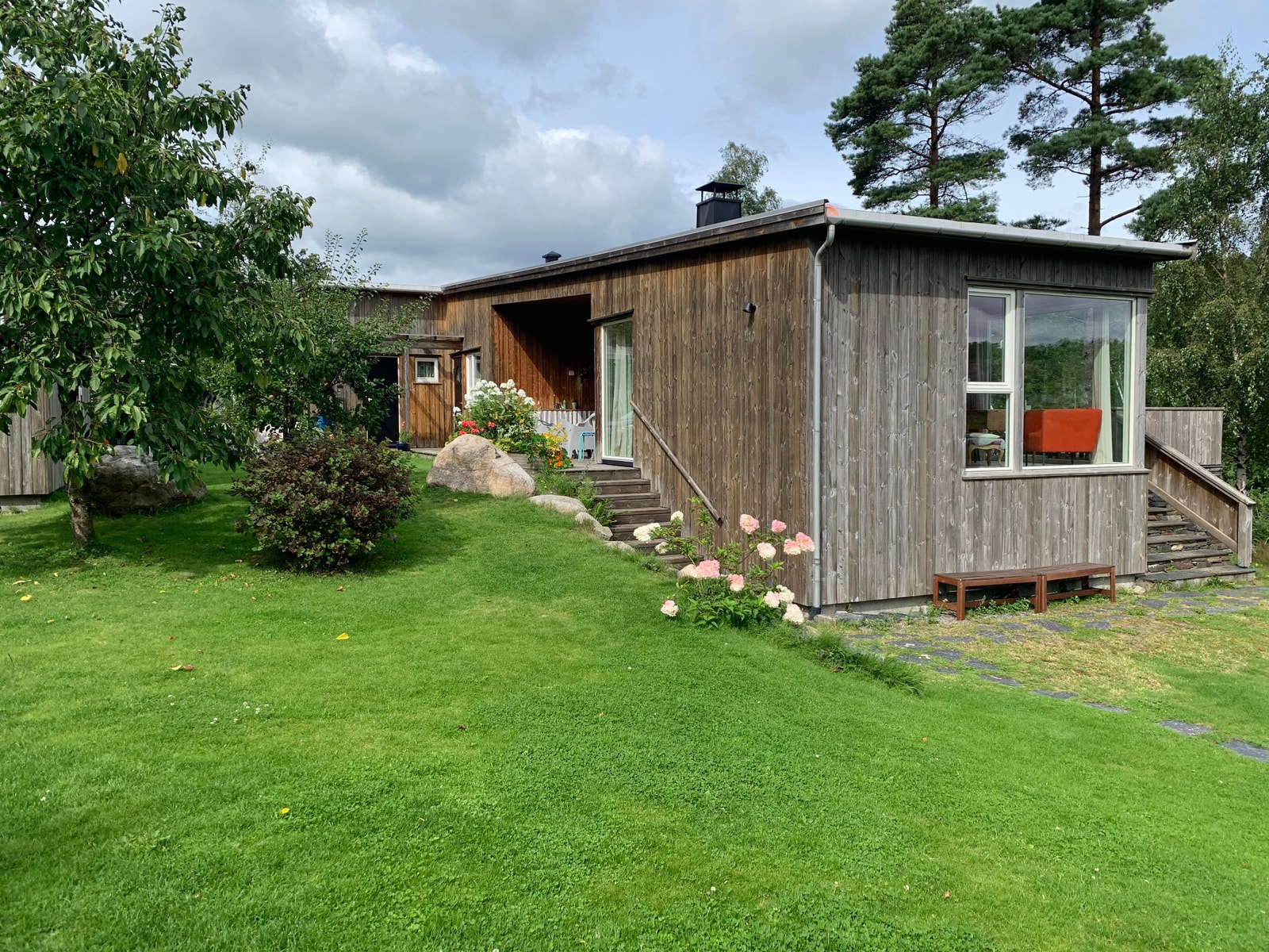 Hovedhytta. Plommene på treet er modne i august! Galleribilde