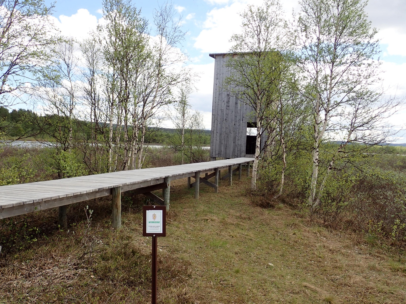 Fugletårnet med utsikt over Reservatet Galleribilde