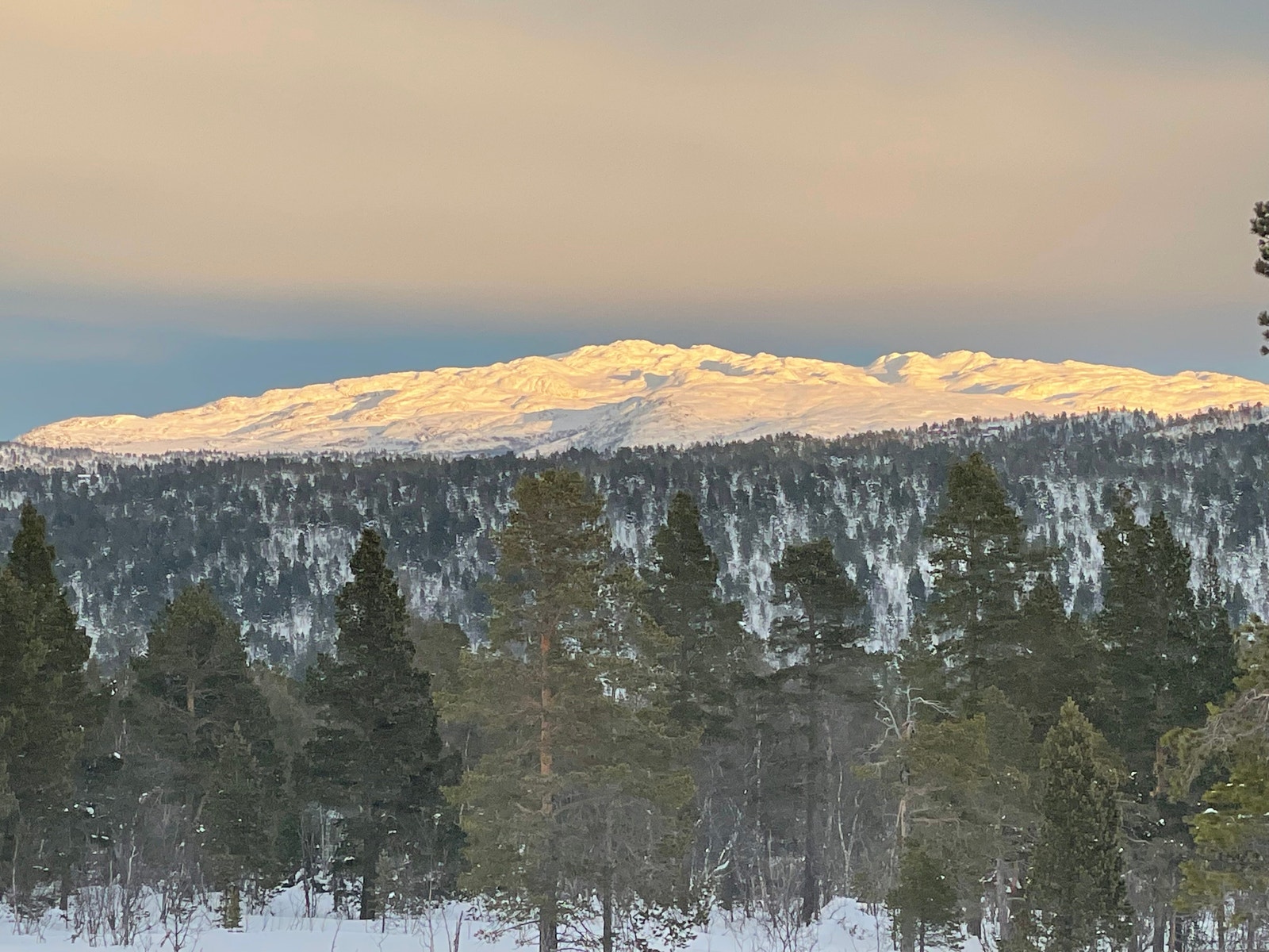 27. des. 2021, fra nedre del Galleribilde