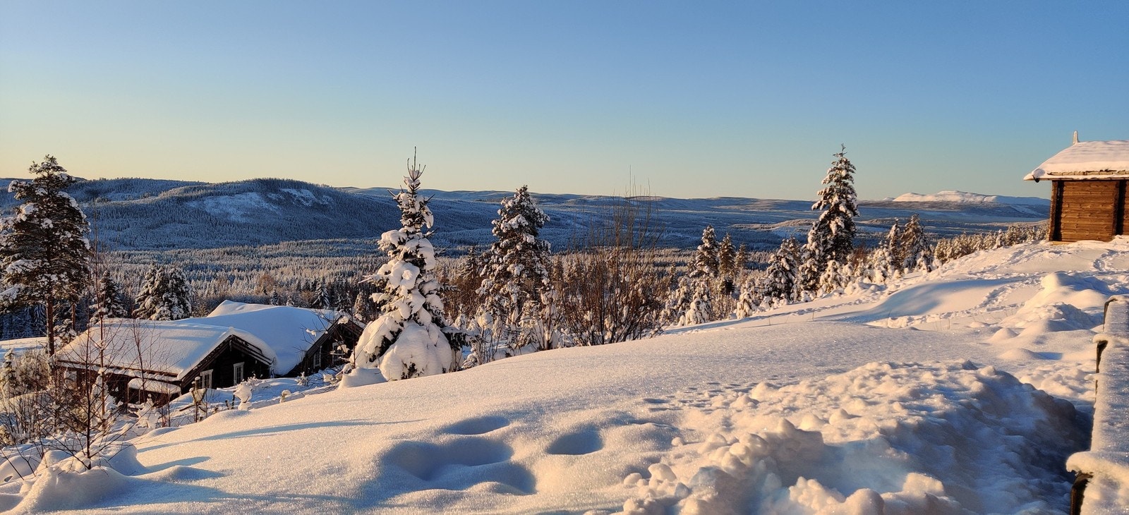 Utsikt mot tomt og nabo hytte Galleribilde