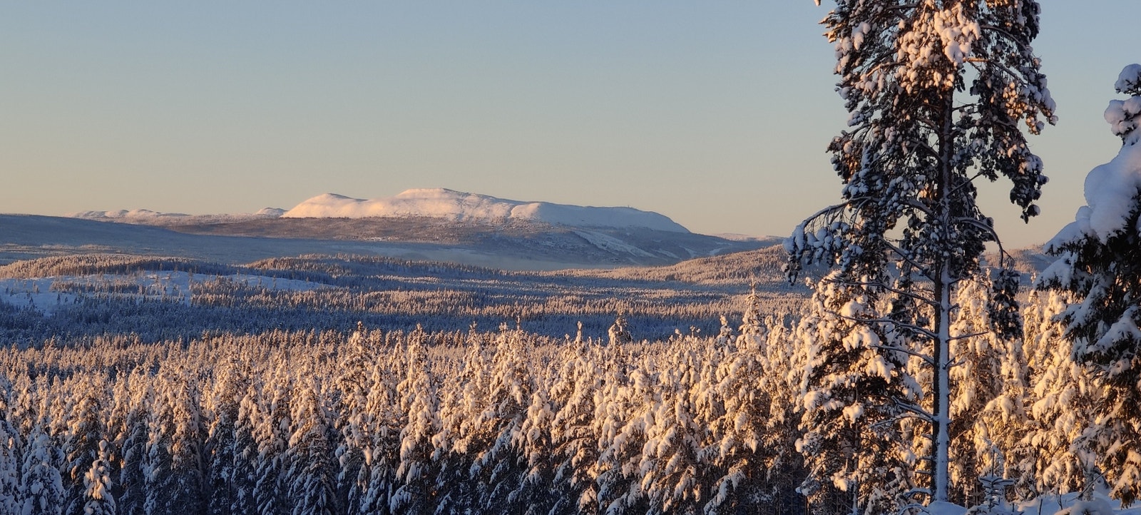 Utsikt mot Trysilfjellet Galleribilde