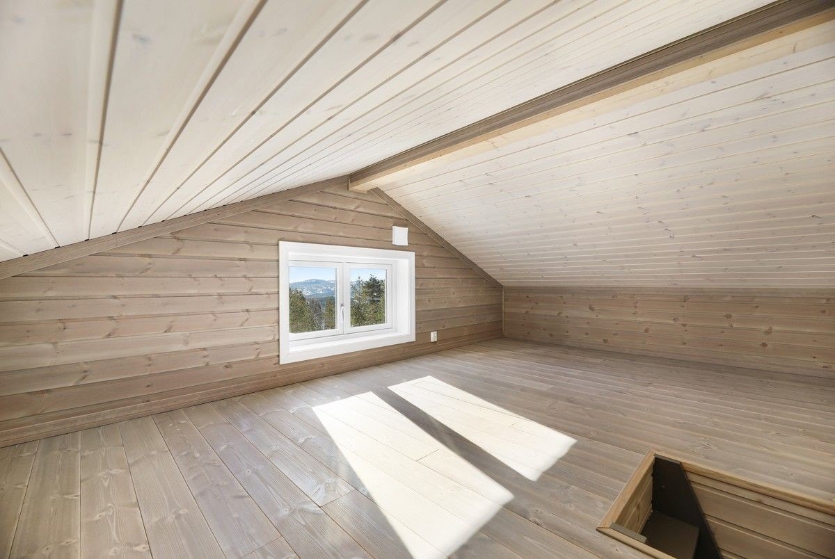 Fjellfiol Galleribilde