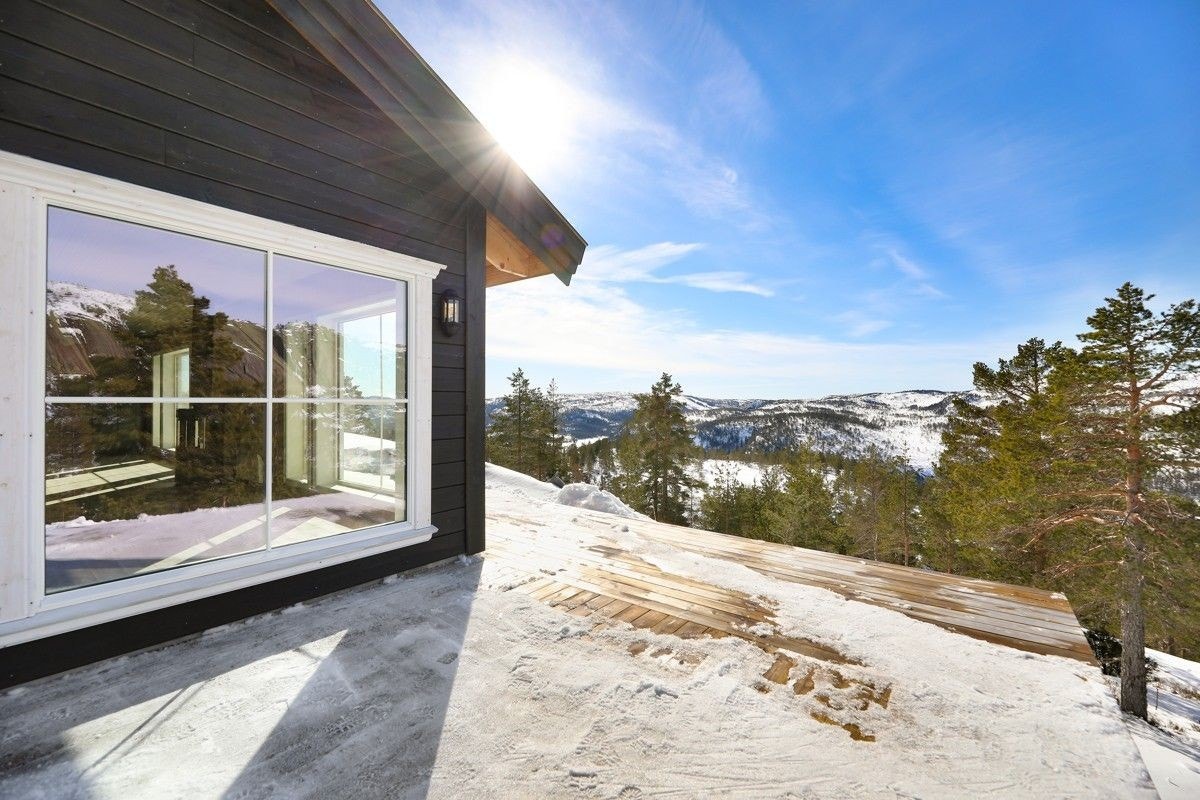 Fjellfiol Galleribilde