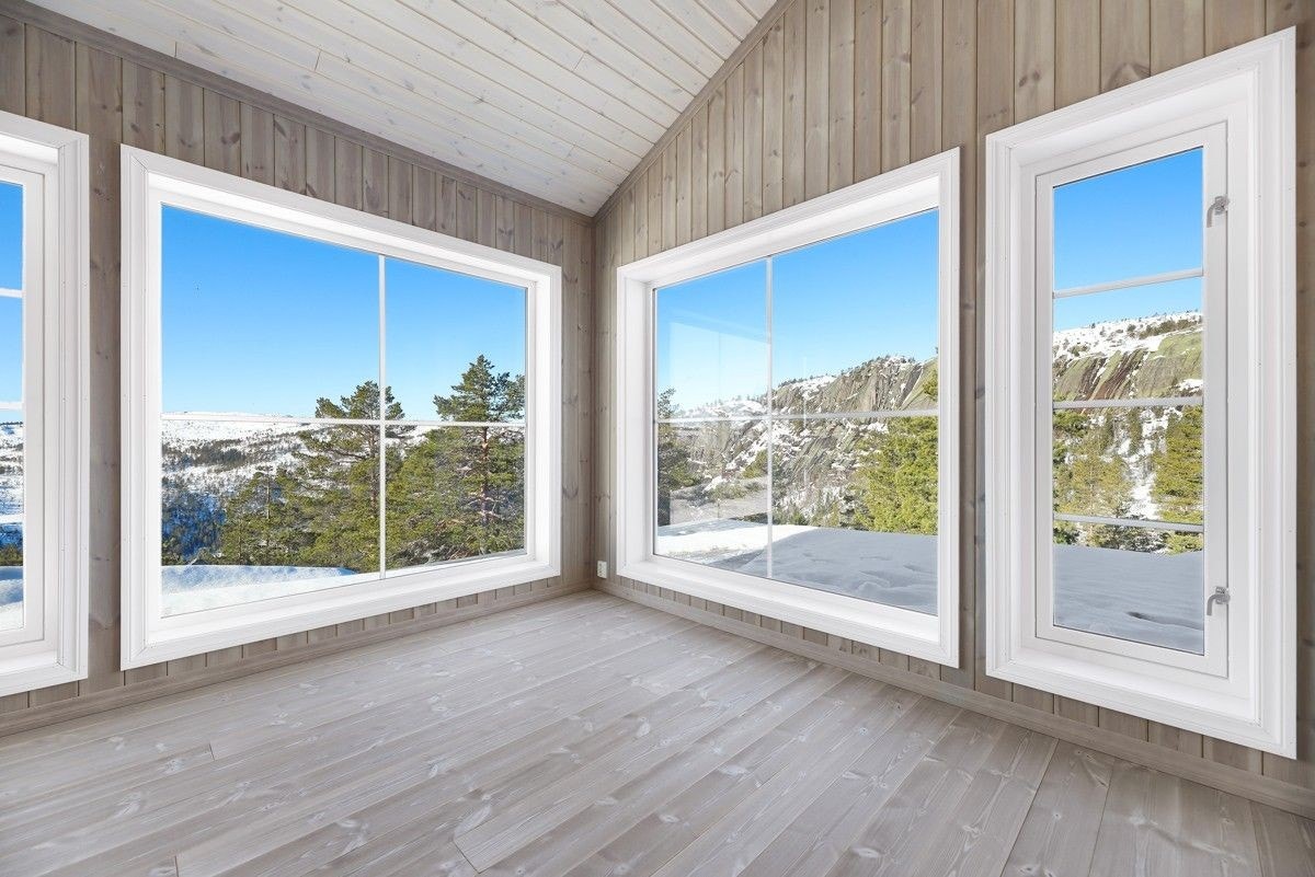 Fjellfiol Galleribilde