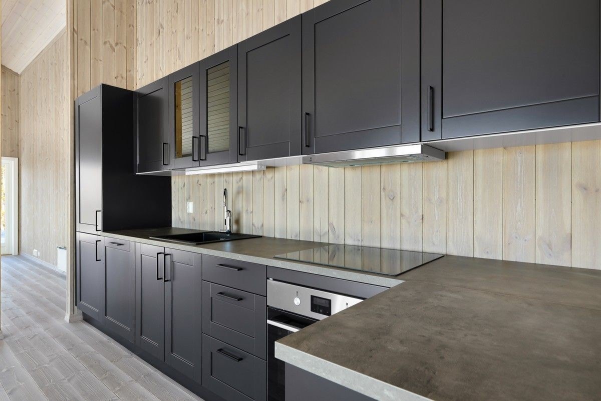 Fjellfiol Galleribilde