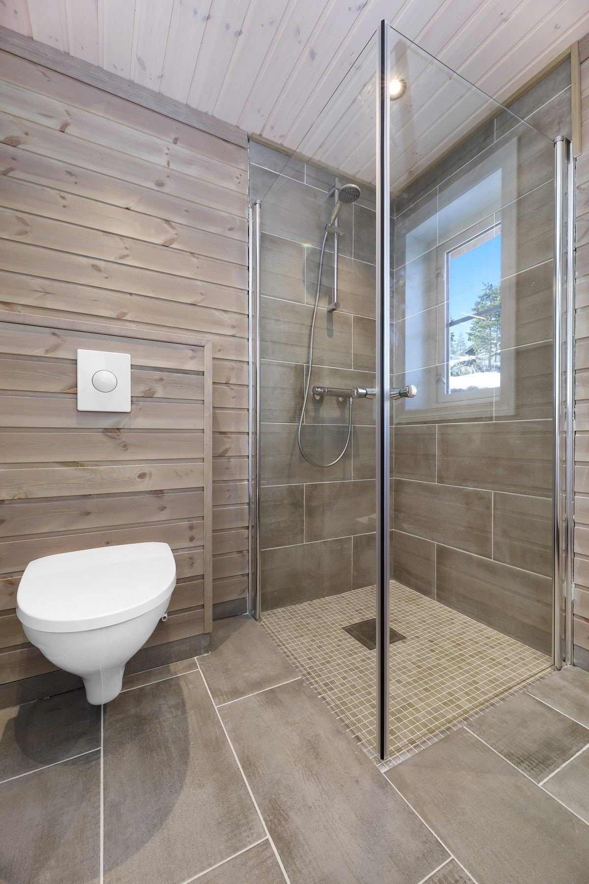 Fjellfiol Galleribilde