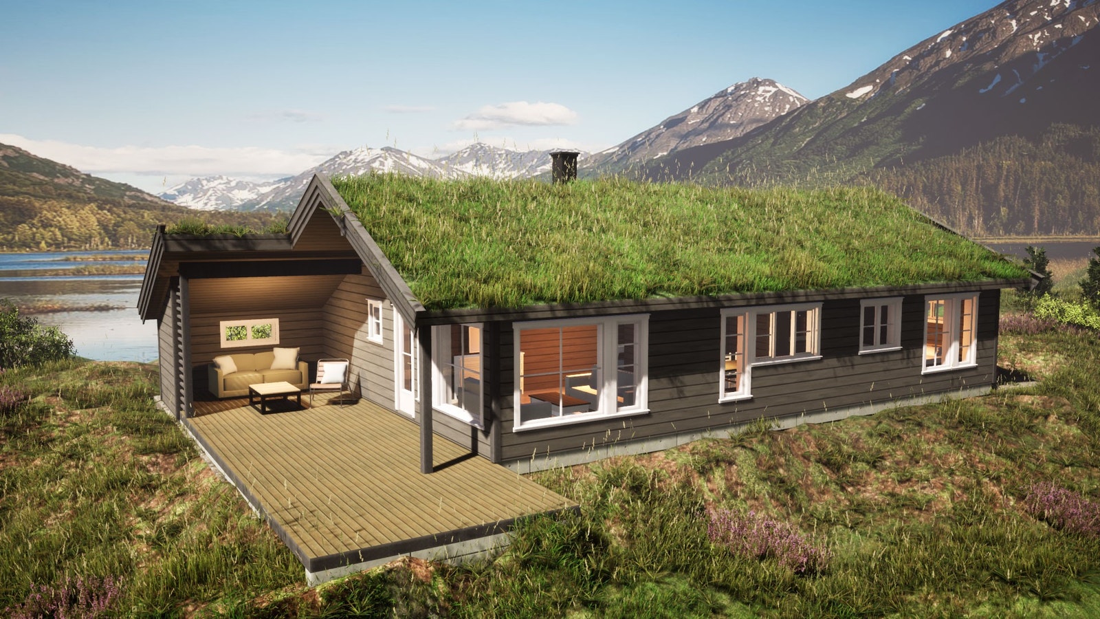 Fjellfiol Galleribilde