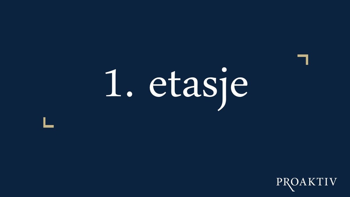 Vi starter på mellomplanet hvor du finner entré, gjestetoalett, stue og kjøkken. Galleribilde