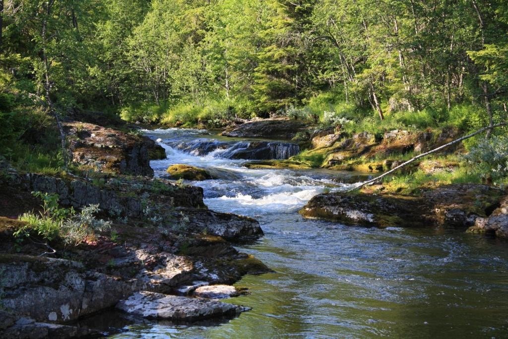 Mye turmuligheter i Ljørdalen Galleribilde