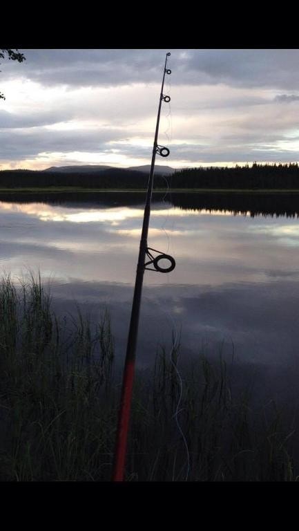 Gode fiskemuligheter Galleribilde