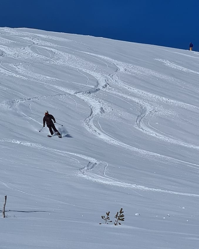 Foto: Grong Skisenter Galleribilde