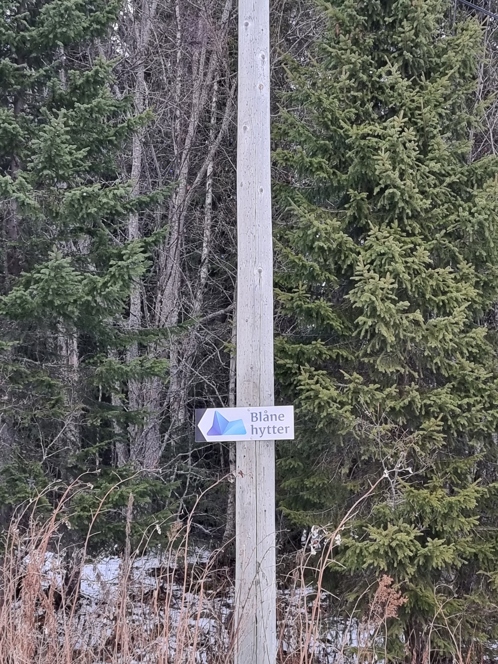 Følg retningsvisere opp til feltet Galleribilde