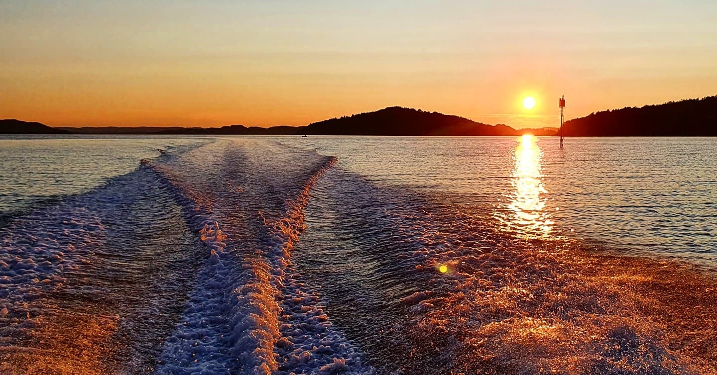 Årdalsfjorden med båtliv og fiskemuligheter venter i kort avstand fra tomten. Galleribilde