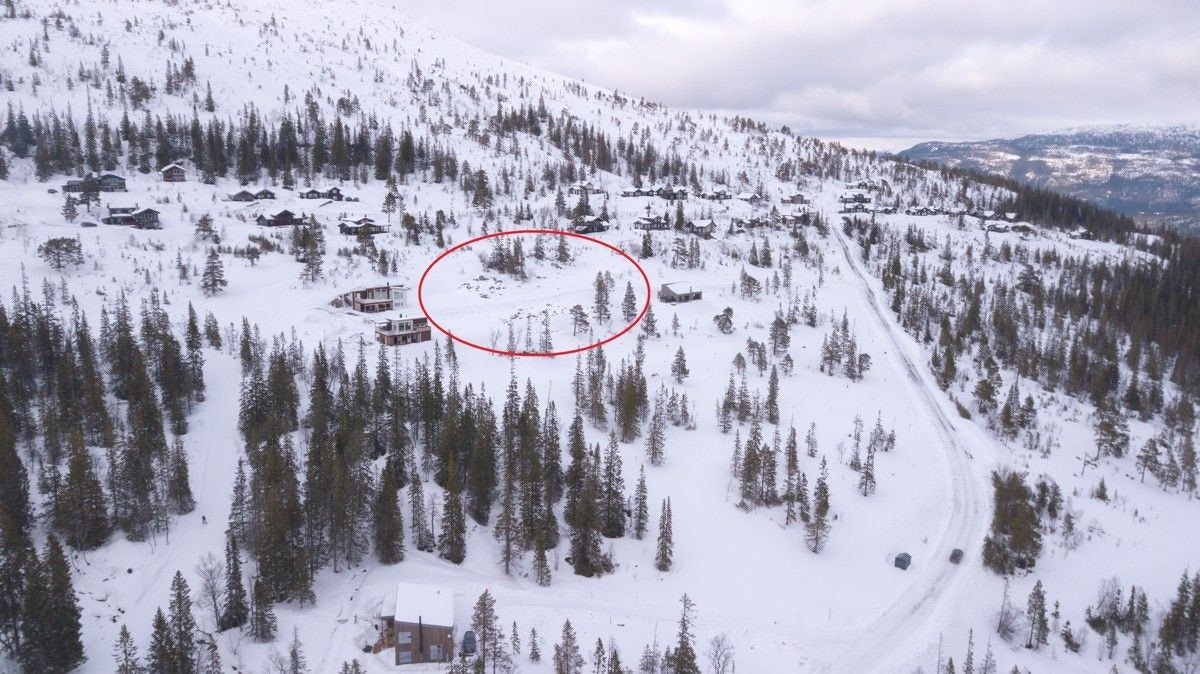Tomt 12 er en av 7 tomter som er til salgs av utbygger i Øvre Bjørgålia. Annonserte prospekt kan også kjøpes på en av de andre tomtene. Galleribilde