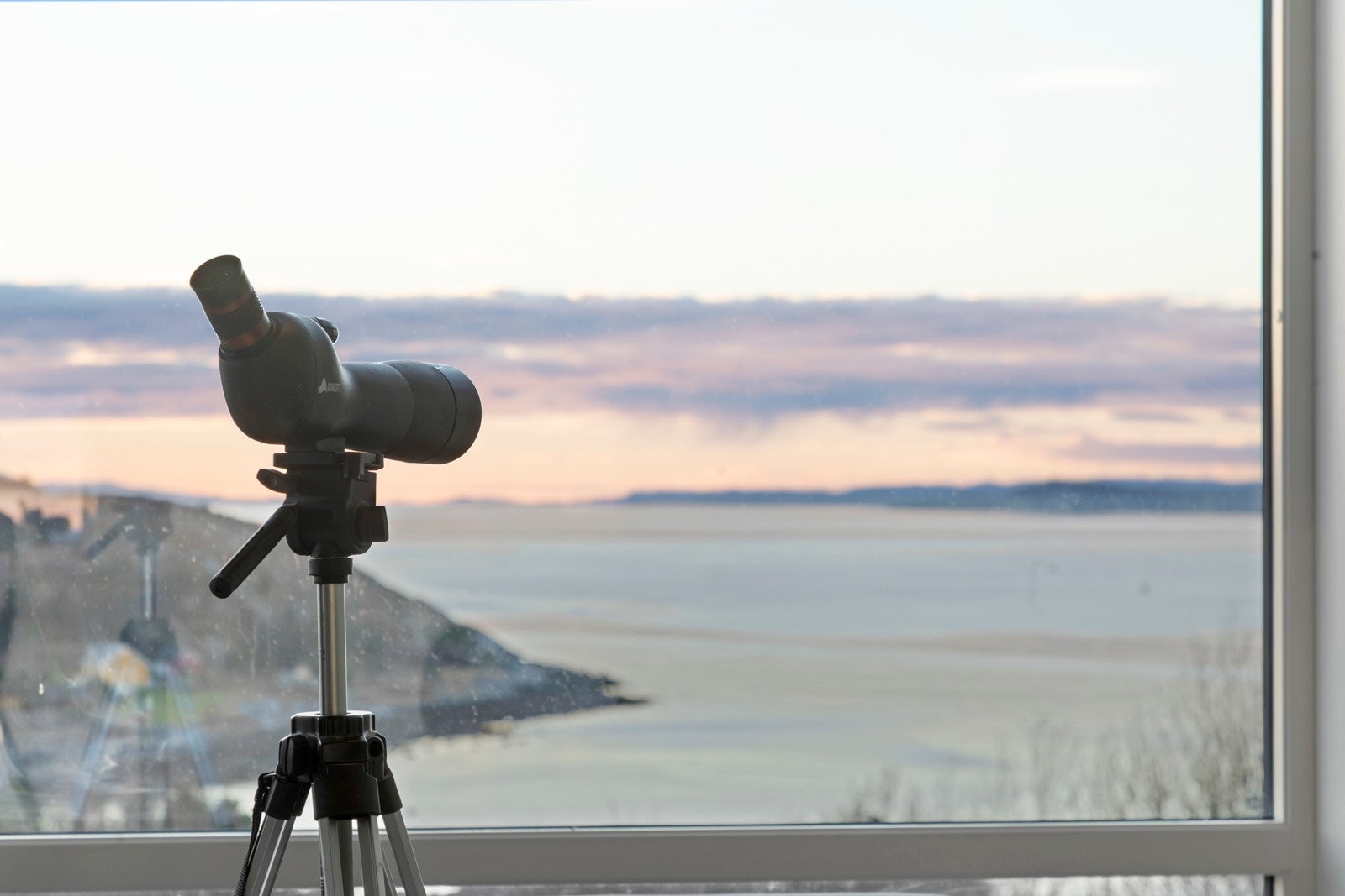 Følg med på båt- og dyrelivet Galleribilde