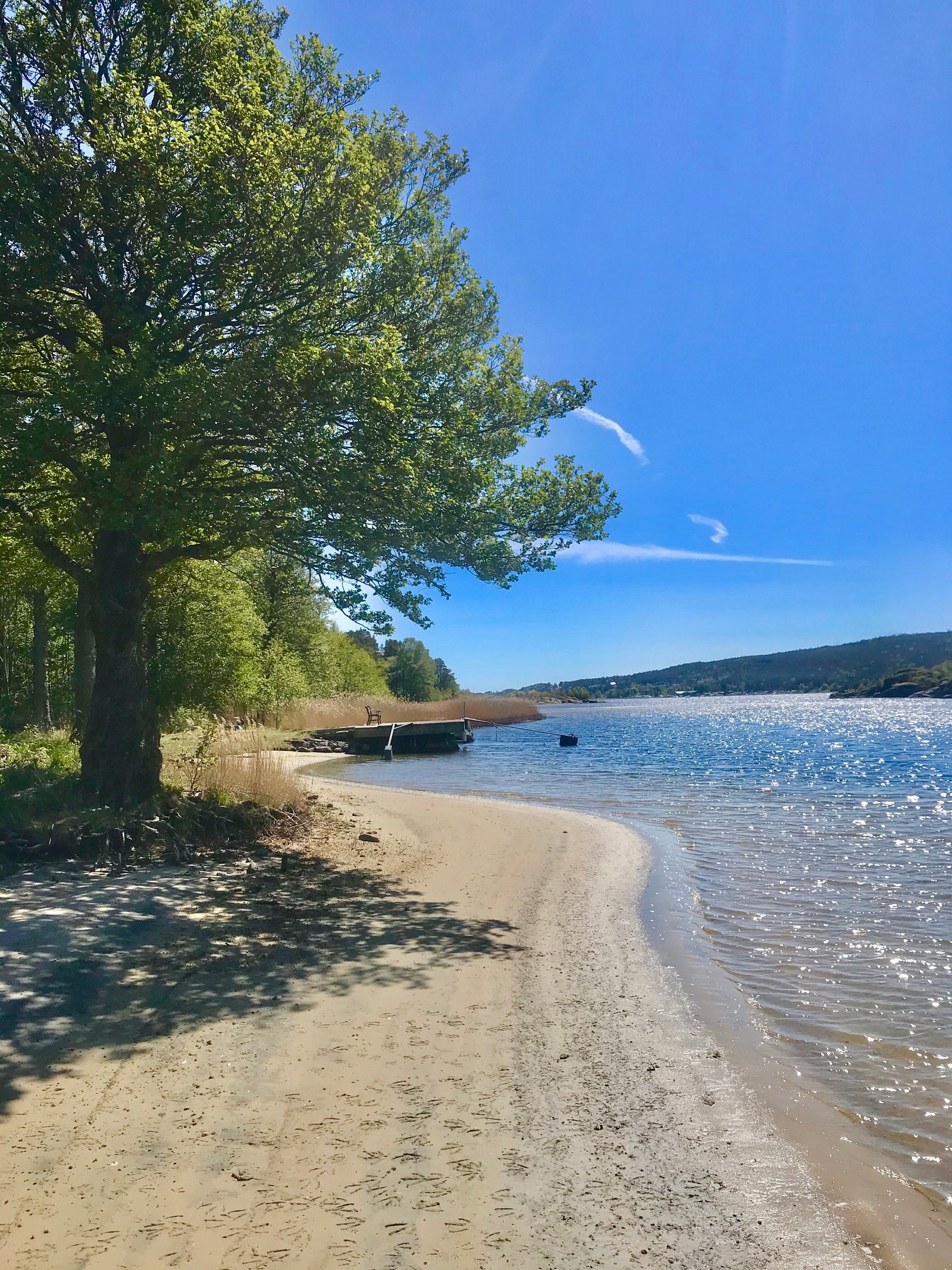 Idyllisk strand nord på Bjørkøya Galleribilde