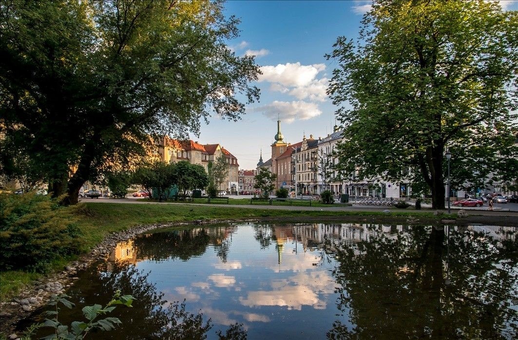 Kort vei til populære St.Hanshaugen Park. Galleribilde