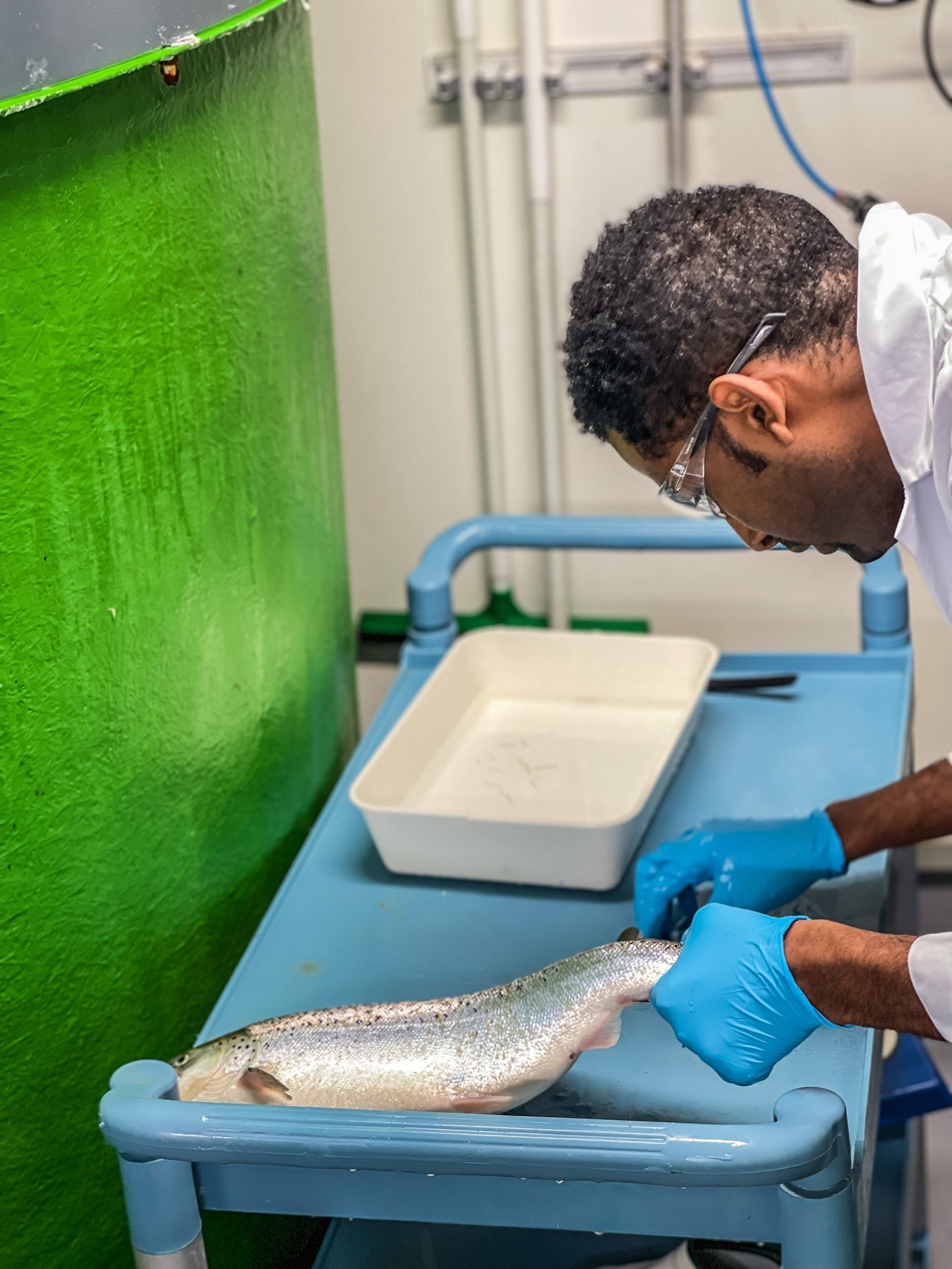 Verdensledende marin forskning og næring. Galleribilde