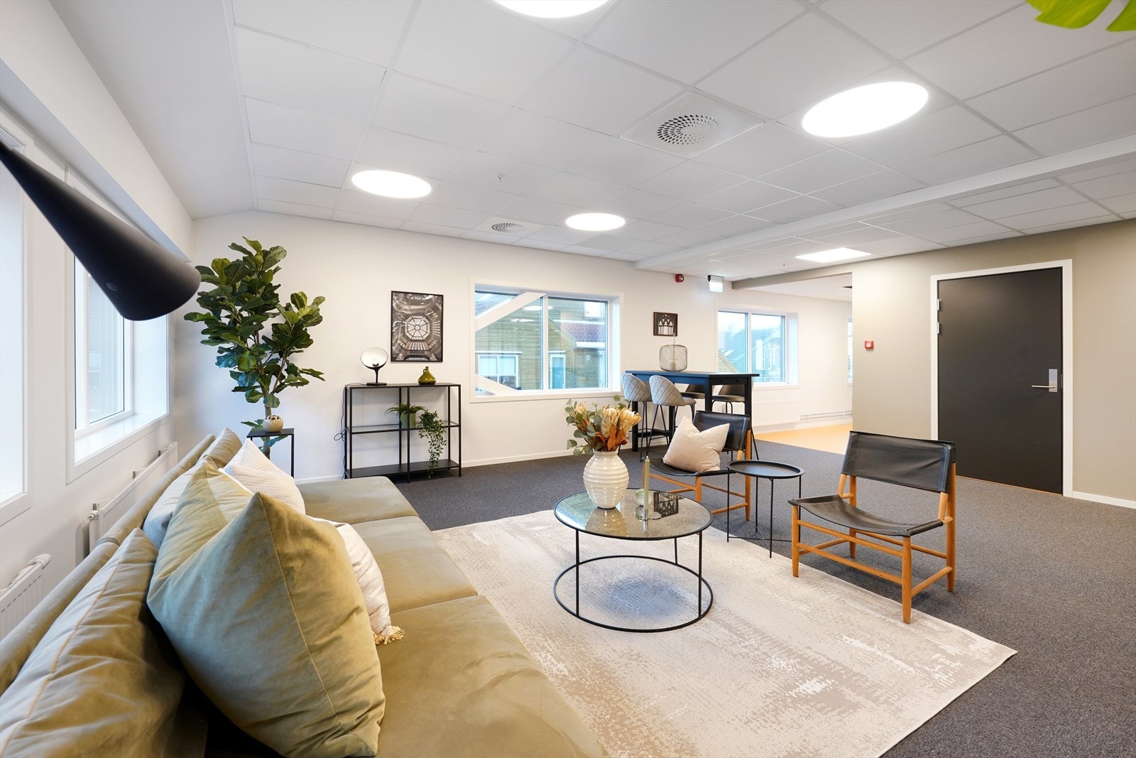 FCL08247 Galleribilde