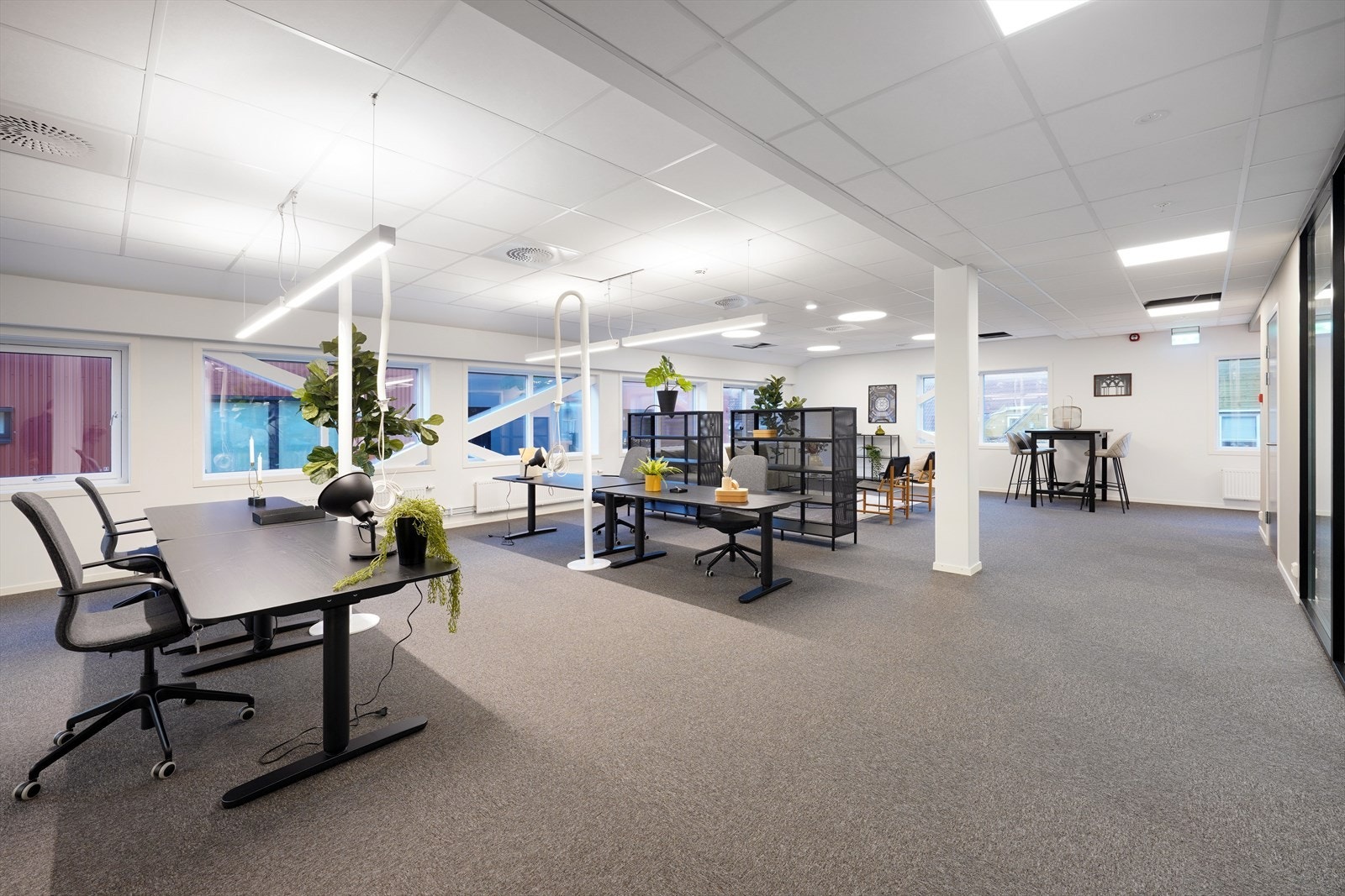 FCL08243 Galleribilde