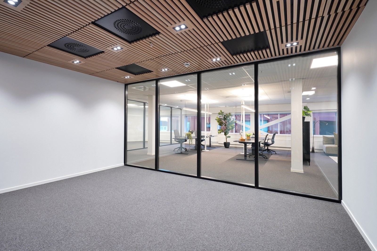 FCL08227 Galleribilde