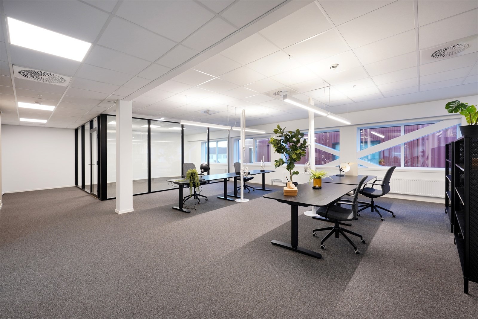 FCL08241 Galleribilde