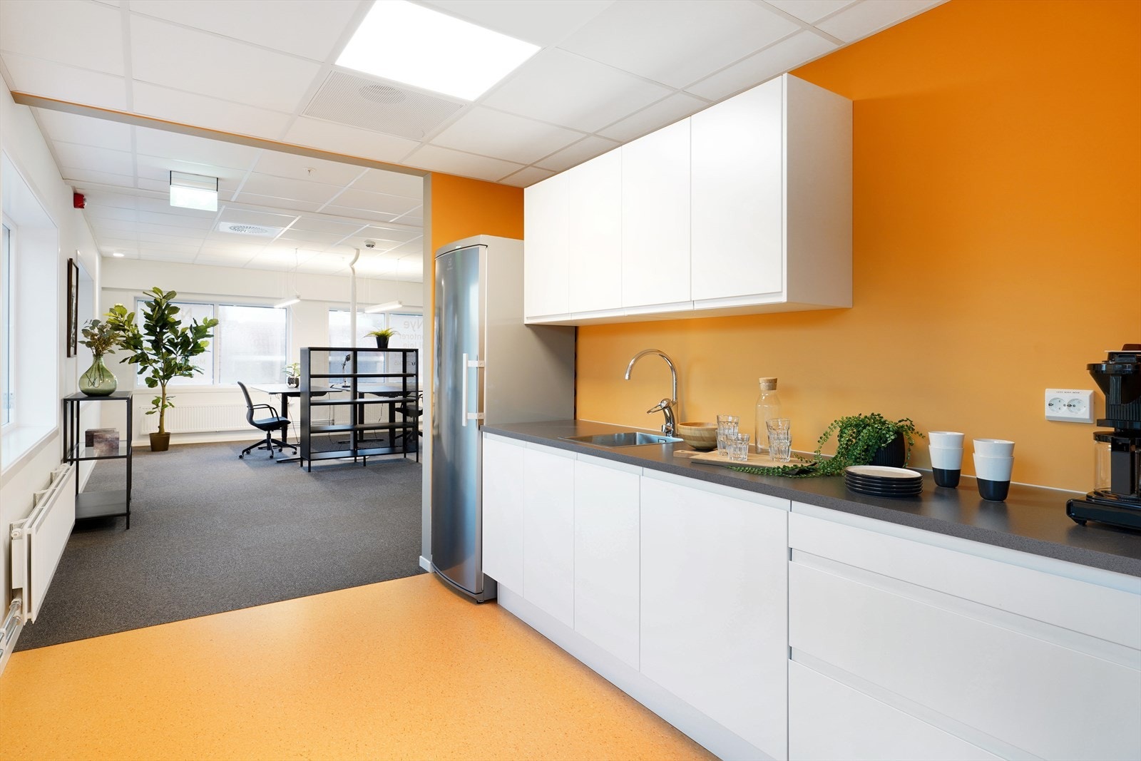 FCL08257 Galleribilde