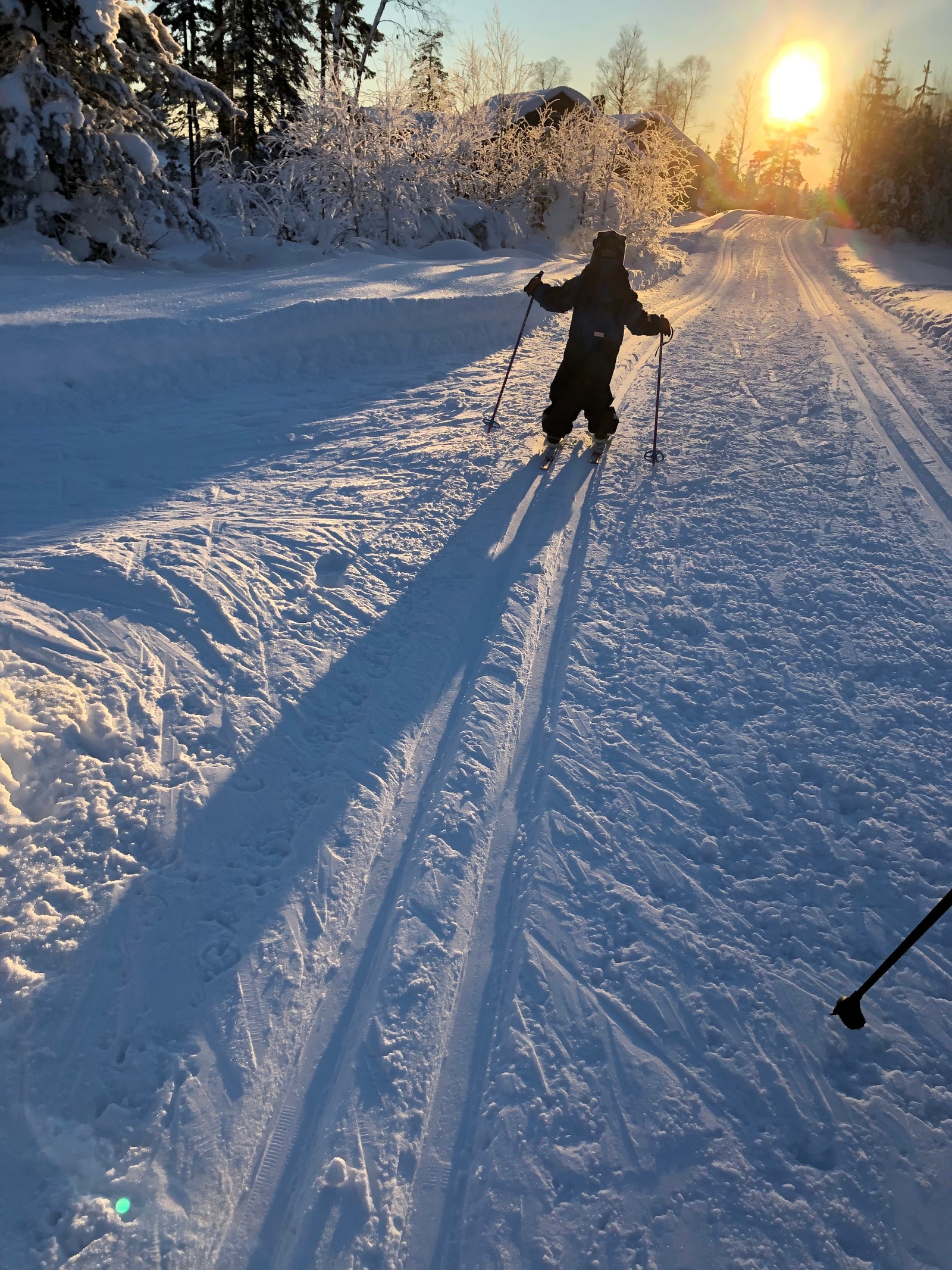 Fine forhold Galleribilde