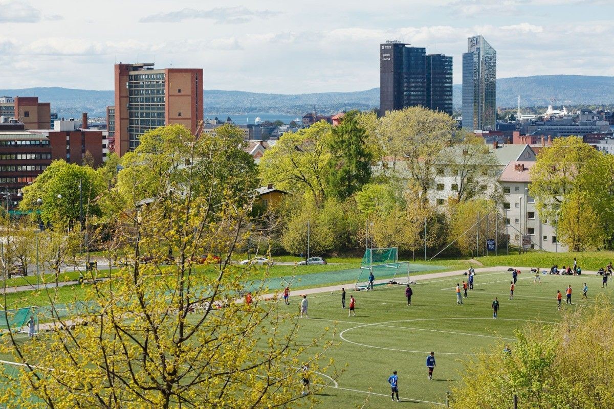 Tøyenparken er 10 min gåavstand Galleribilde