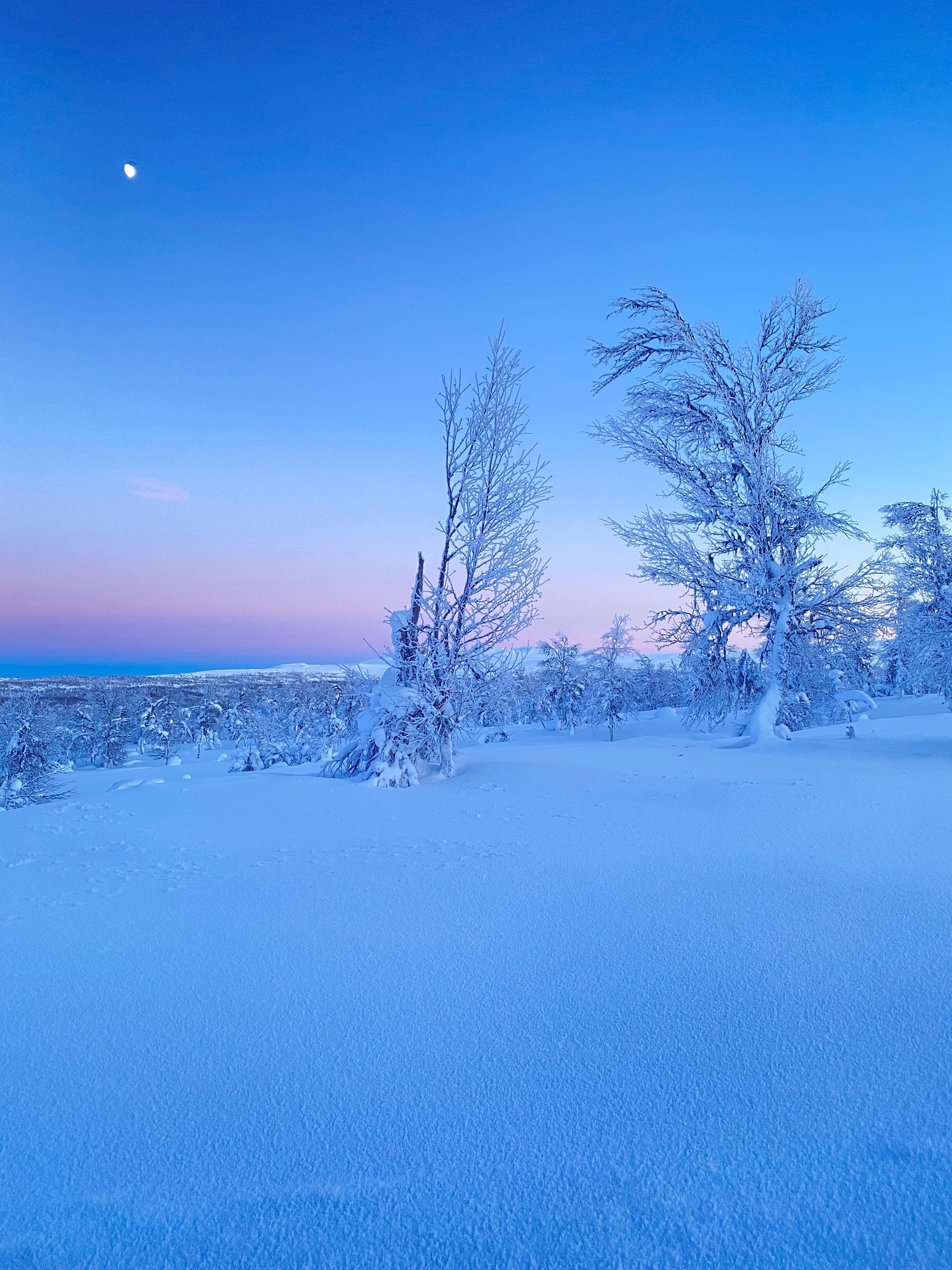 Fargespill i vinterfjellet Galleribilde