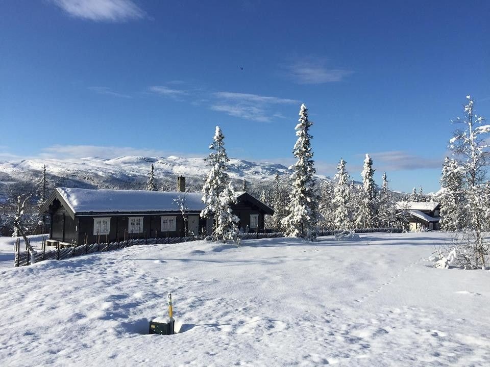 Hytte i området Galleribilde