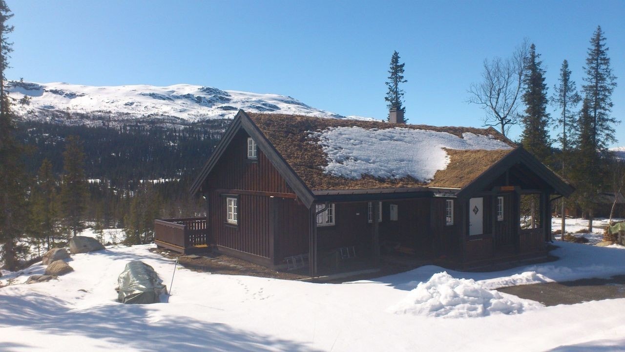 Tidligere oppført hytte i området. Galleribilde