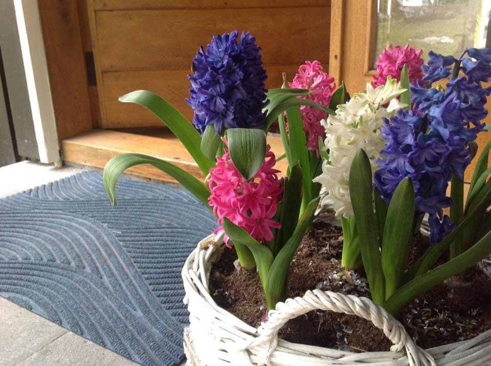 Velkommen Galleribilde