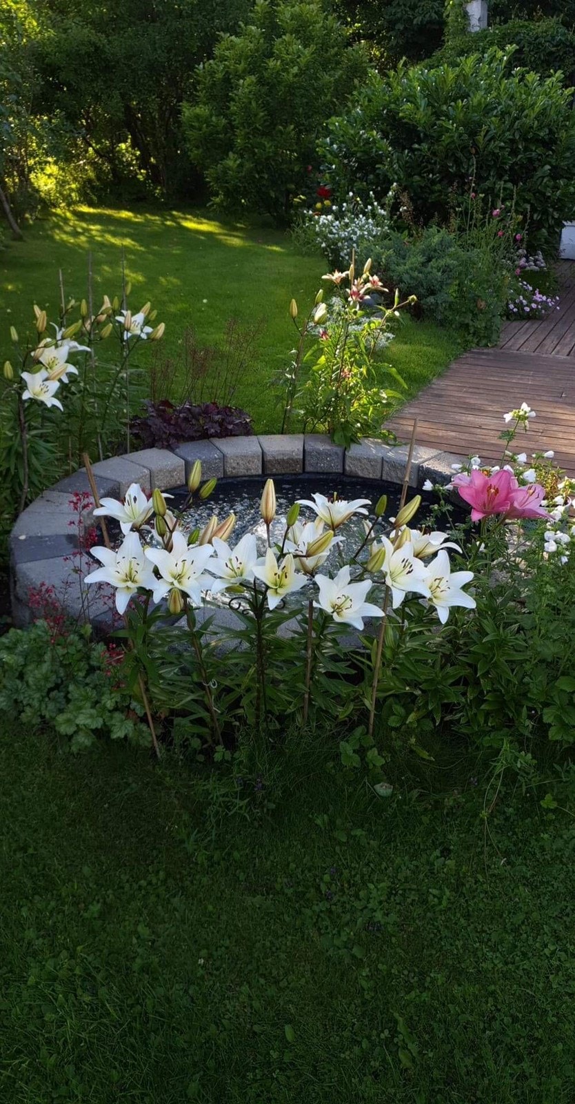 Flerårige blomster rundt fontenen Galleribilde