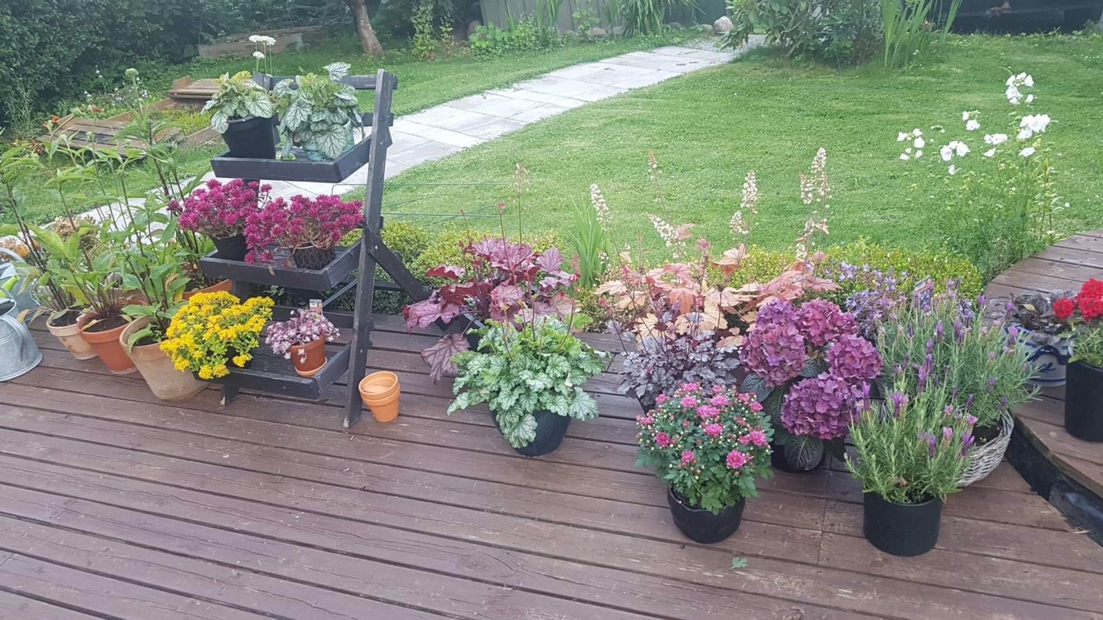 Oppgradert belegningsstein på stien fra garasjen Galleribilde