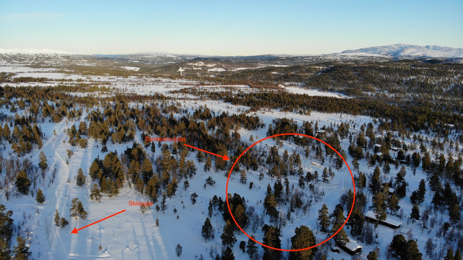 Bildene er tatt i begynnelsen av januar 2021, derfor står solen lavt. Galleribilde