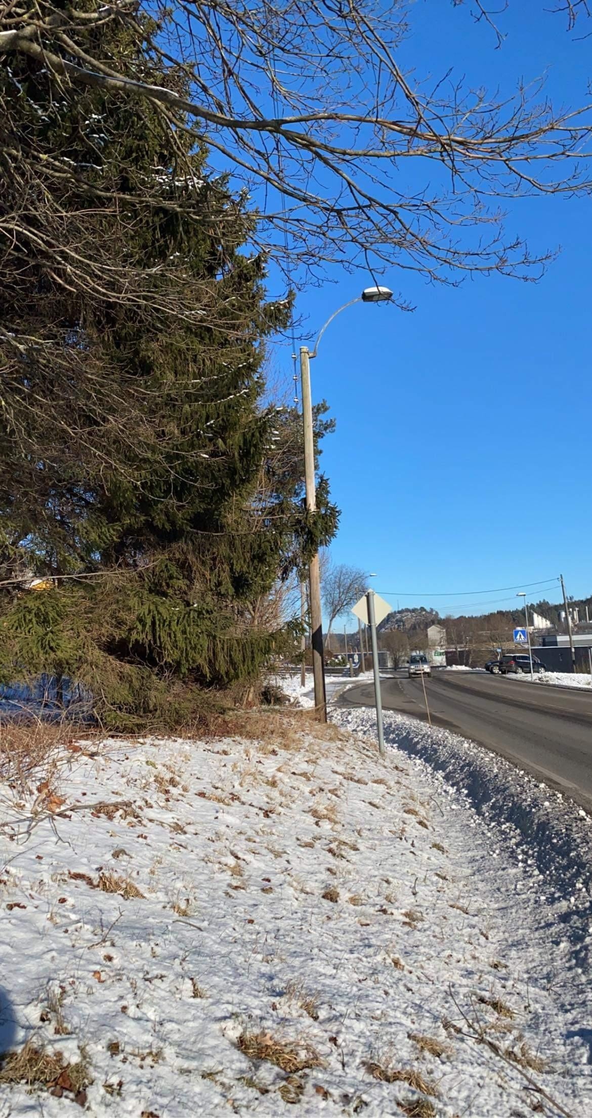 Gode bussforhold rett ved siden av tomten - ekspress buss til Tønsberg etc. Galleribilde