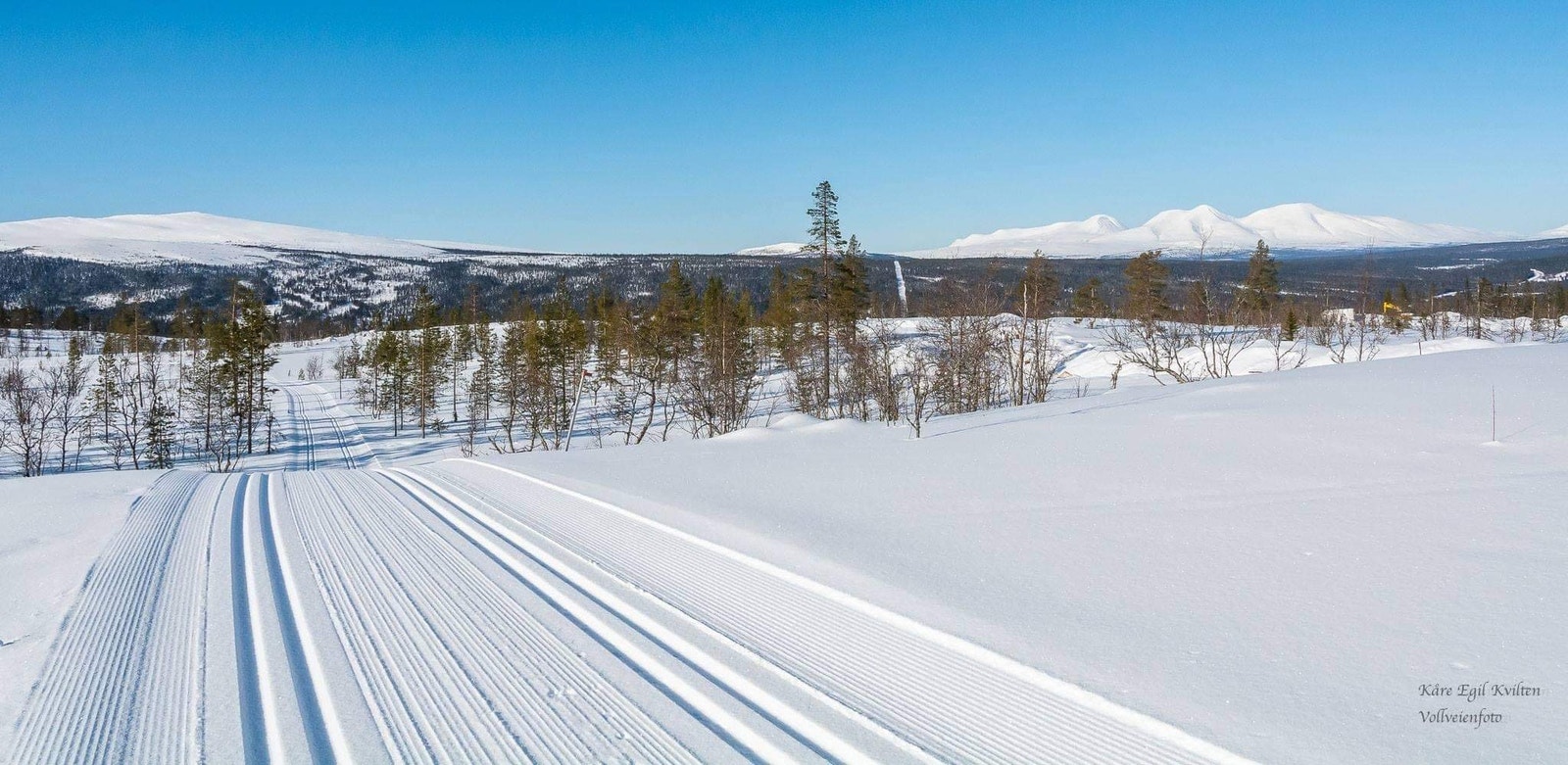 Skispor rett utenfor hyttedøren i lett kupert og trivelig terreng. Galleribilde