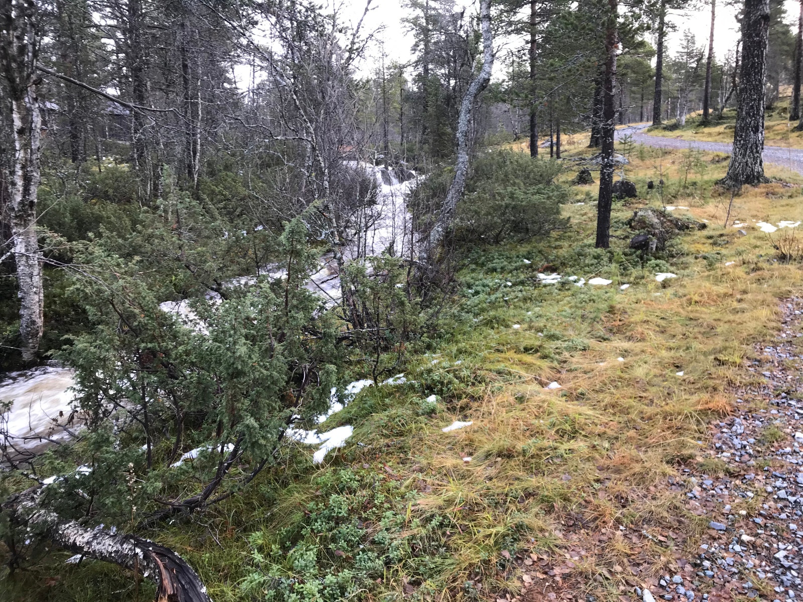 Holtarbekken Galleribilde