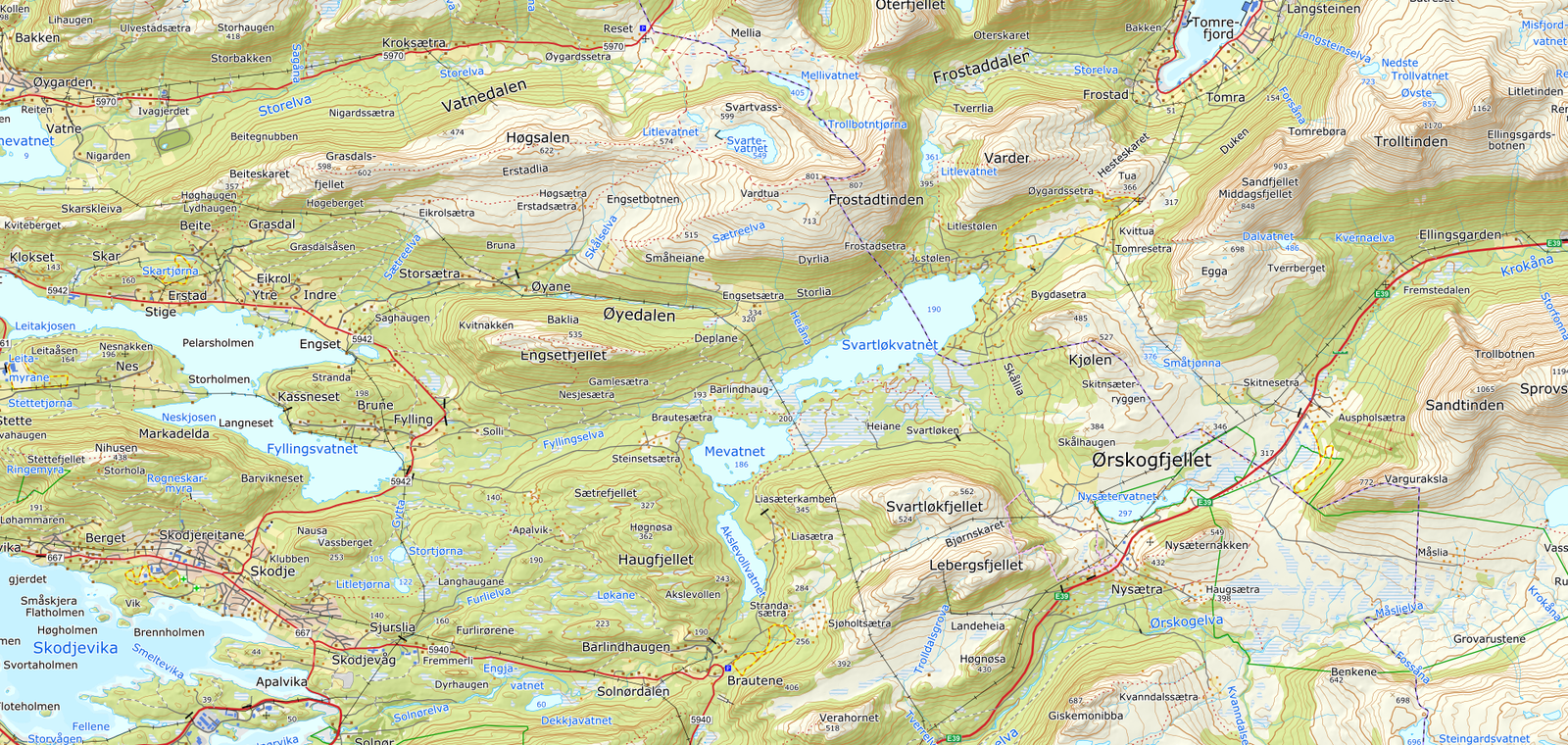 Galleribilde