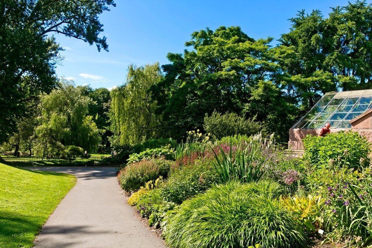 Botanisk hage, byens vakreste park ligger like ved Galleribilde