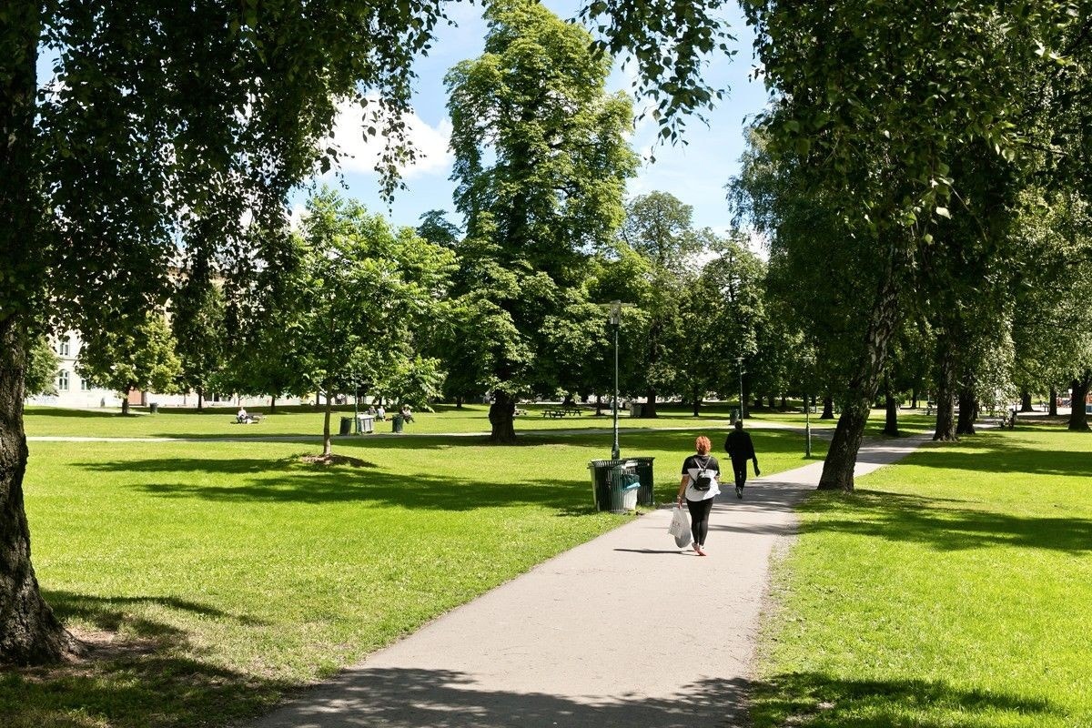 Sofienbergparken er like i nærheten. Her arrangeres også festivalen Piknik i Parken i juni, for deg som er glad i musikk. Galleribilde